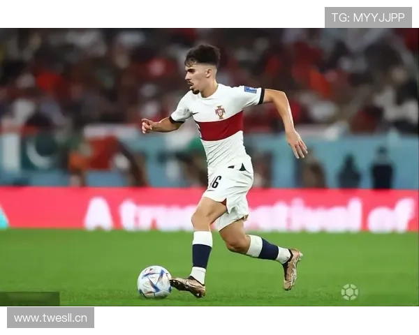 维蒂尼亚：控场角色与数据表现是否被误判