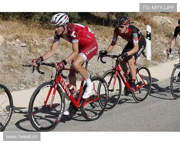 萨卡生涯个人数据与团队成绩评估